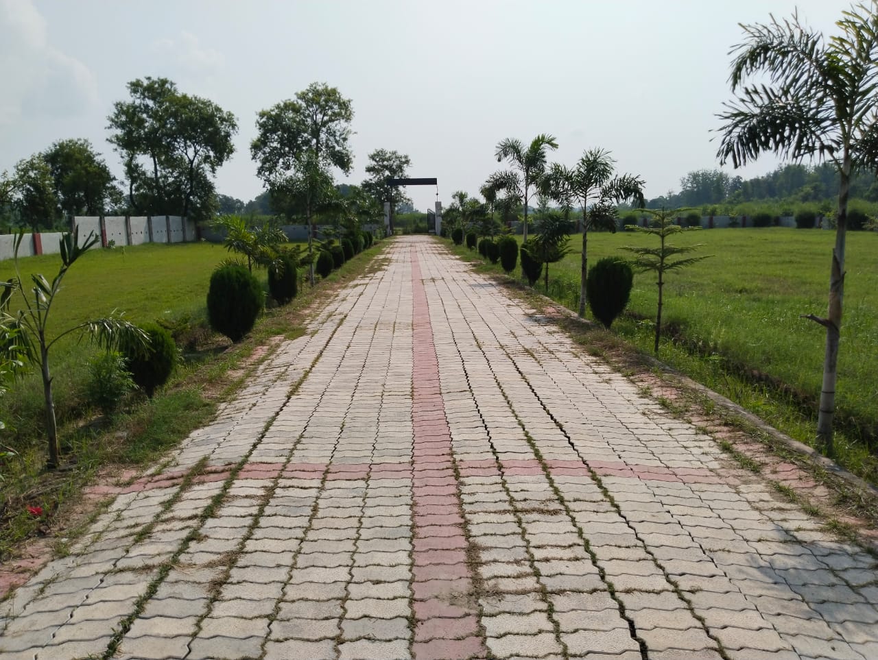 college gallery
