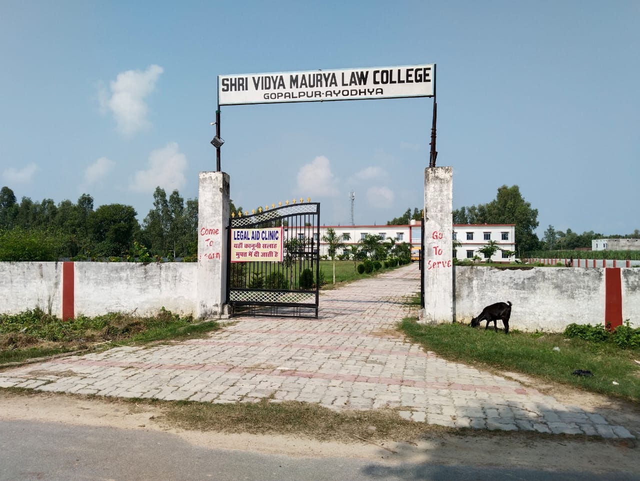 college gallery